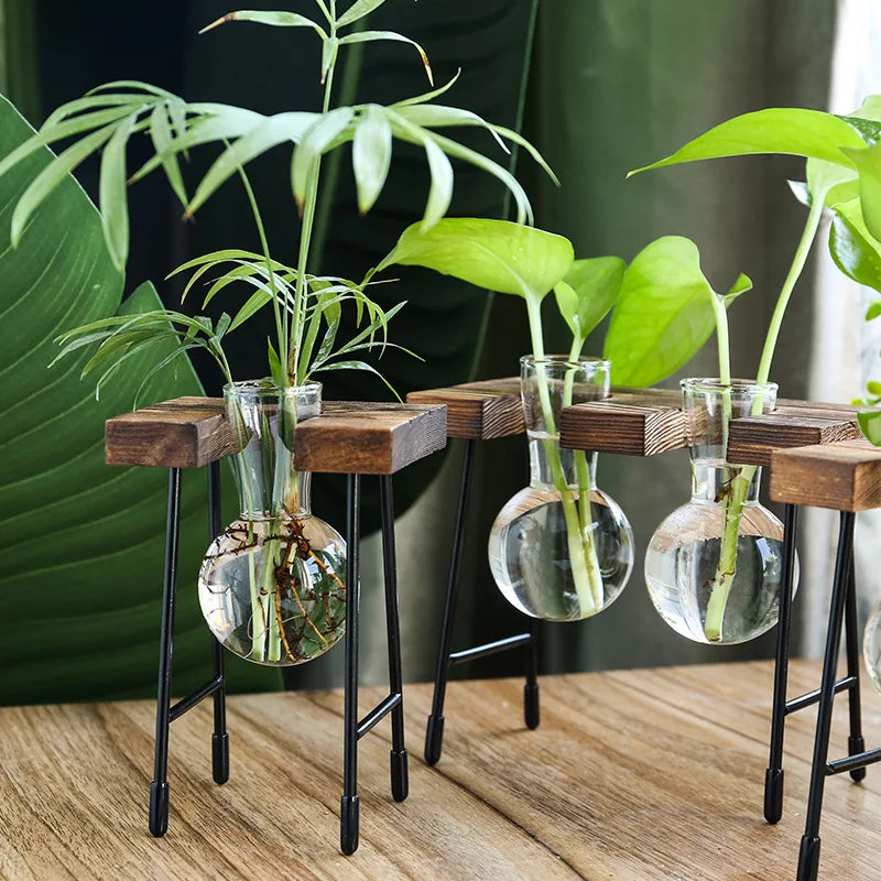 Terrário Hidropônico Para Mesa Central Com Suporte Decorativo