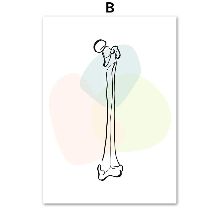 Pôster Ilustrativo Biomédico De Anatomia Fêmur Para Quiropraxia