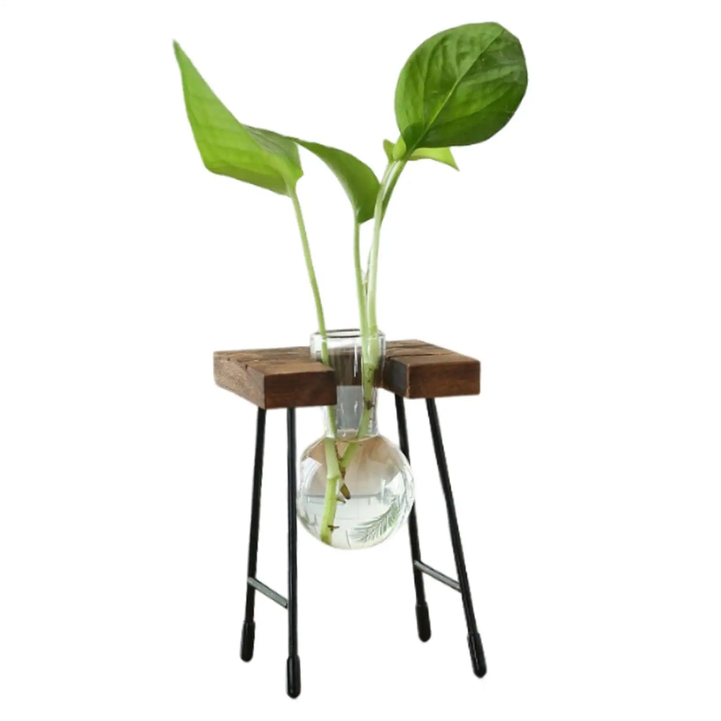 Terrário Hidropônico Para Mesa Central Com Suporte Decorativo