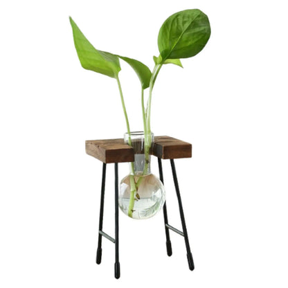 Terrário Hidropônico Para Mesa Central Com Suporte Decorativo