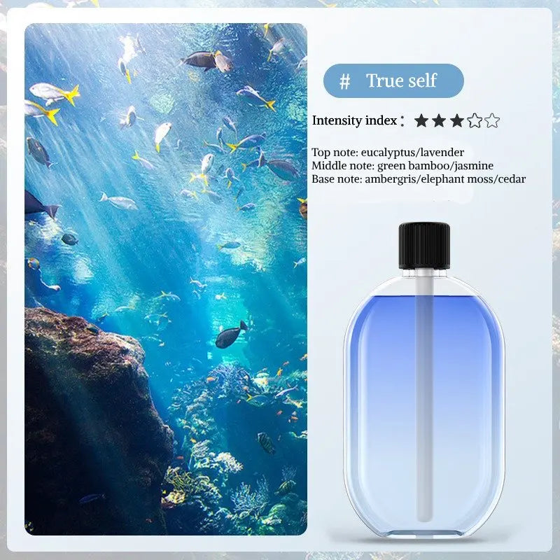 Difusor Ultrassônico Óleo Essencial Sono Iluminação Ambiente Recarregável USB-C