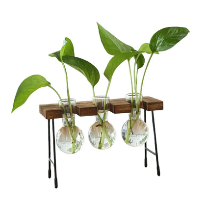 Terrário Hidropônico Para Mesa Central Com Suporte Decorativo