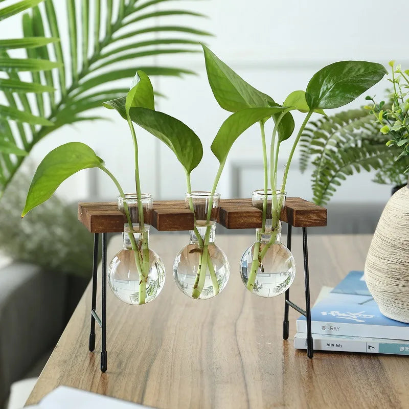 Terrário Hidropônico Para Mesa Central Com Suporte Decorativo
