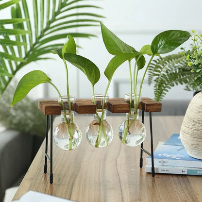 Terrário Hidropônico Para Mesa Central Com Suporte Decorativo