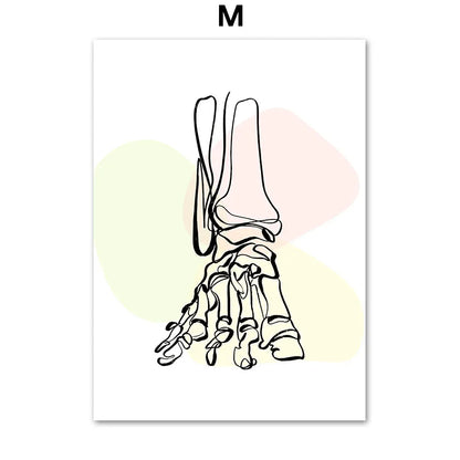 Pôster Ilustrativo Biomédico De Anatomia Fêmur Para Quiropraxia