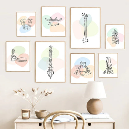 Pôster Ilustrativo Biomédico De Anatomia Fêmur Para Quiropraxia