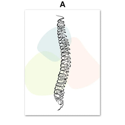 Pôster Ilustrativo Biomédico De Anatomia Fêmur Para Quiropraxia
