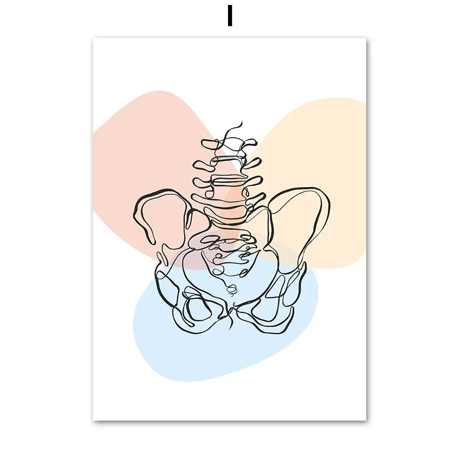 Pôster Ilustrativo Biomédico De Anatomia Fêmur Para Quiropraxia