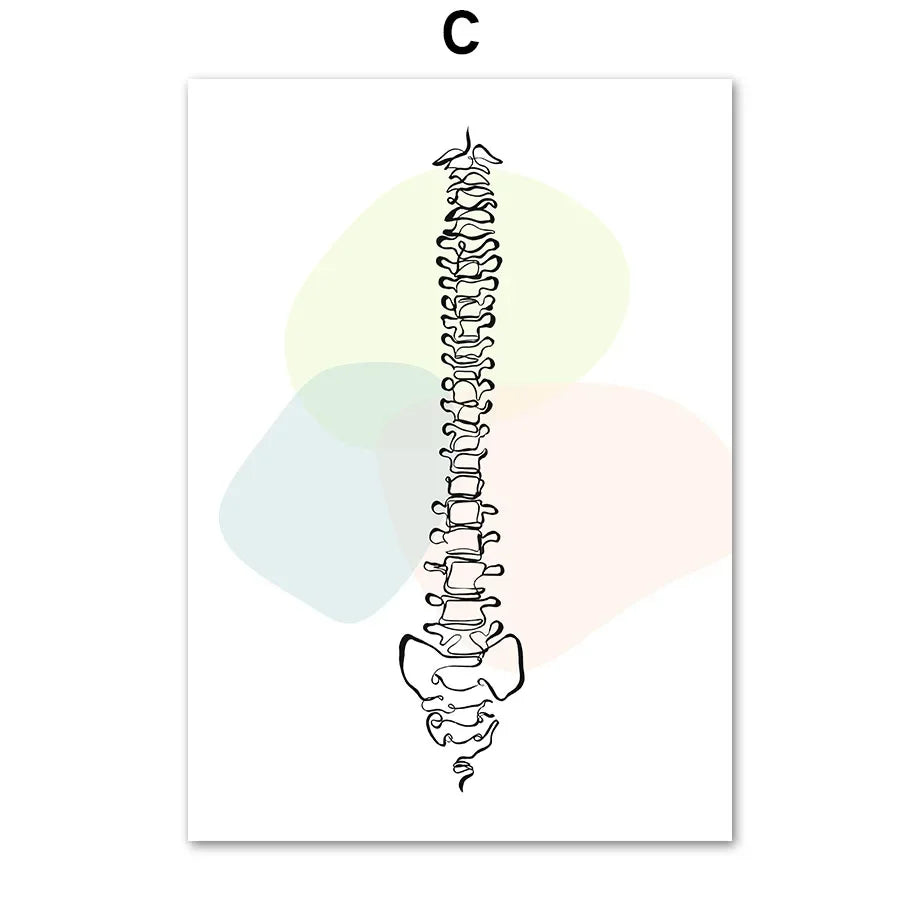 Pôster Ilustrativo Biomédico De Anatomia Fêmur Para Quiropraxia