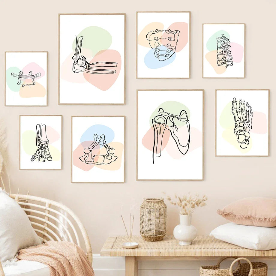 Pôster Ilustrativo Biomédico De Anatomia Fêmur Para Quiropraxia