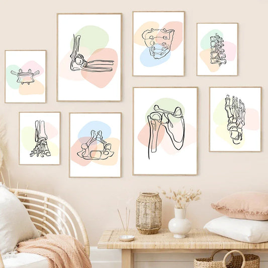 Pôster Ilustrativo Biomédico De Anatomia Fêmur Para Quiropraxia