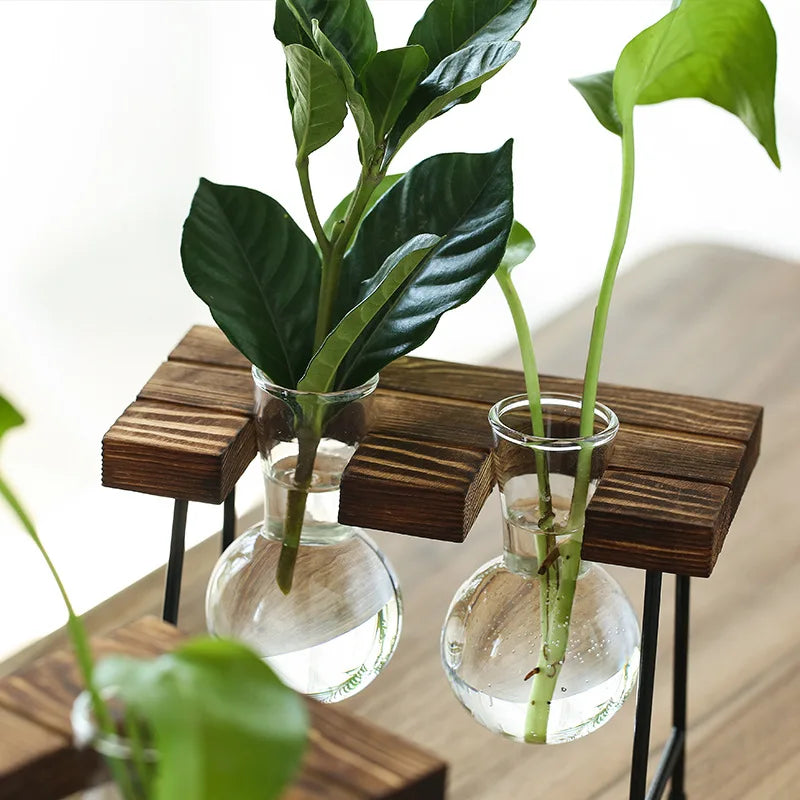Terrário Hidropônico Para Mesa Central Com Suporte Decorativo