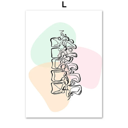 Pôster Ilustrativo Biomédico De Anatomia Fêmur Para Quiropraxia