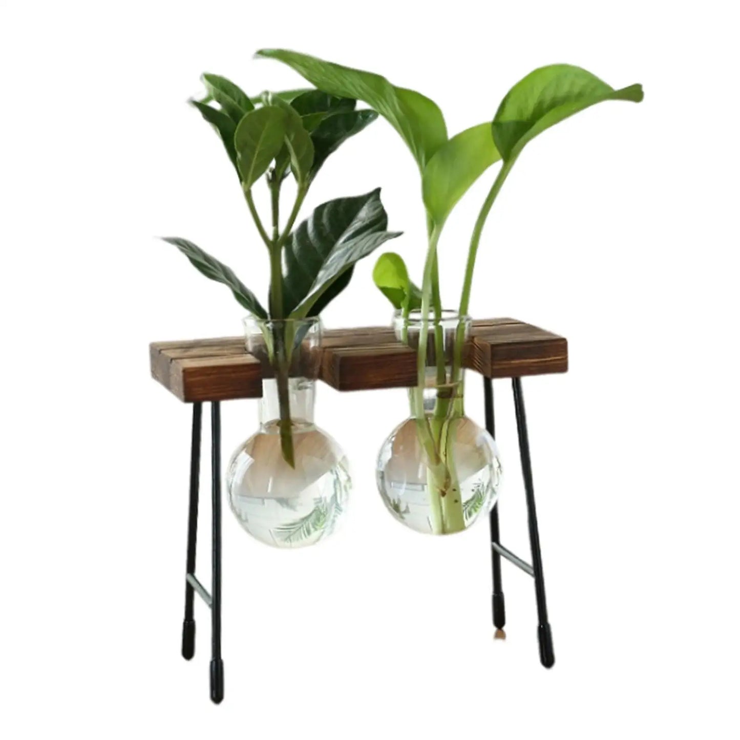 Terrário Hidropônico Para Mesa Central Com Suporte Decorativo
