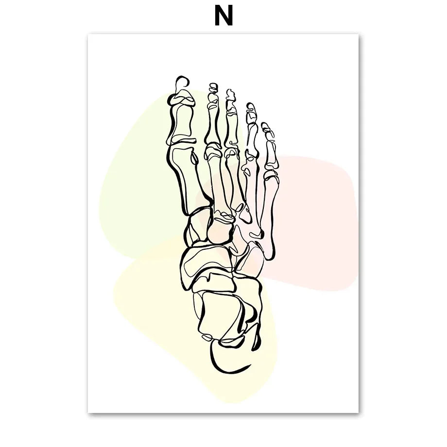 Pôster Ilustrativo Biomédico De Anatomia Fêmur Para Quiropraxia