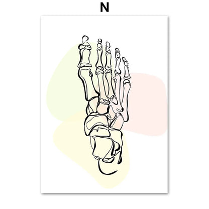 Pôster Ilustrativo Biomédico De Anatomia Fêmur Para Quiropraxia