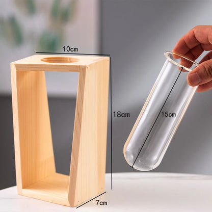 Vaso De Mesa Para Arranjos Hidropônicos Decorativos Premium